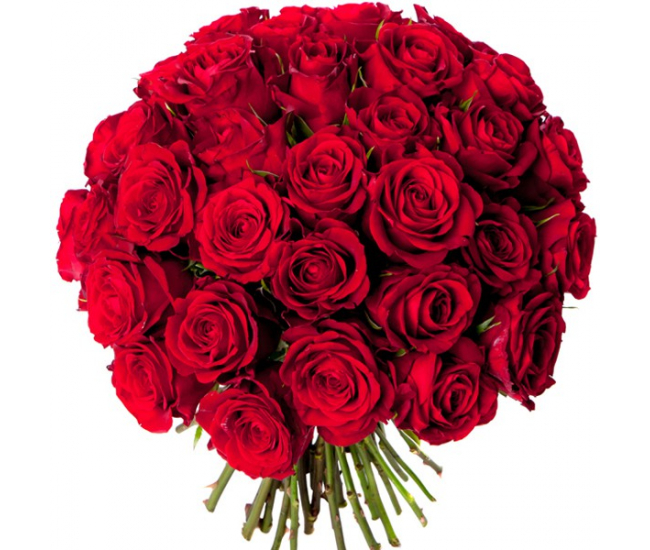 bouquet-40-roses-rouges.jpg