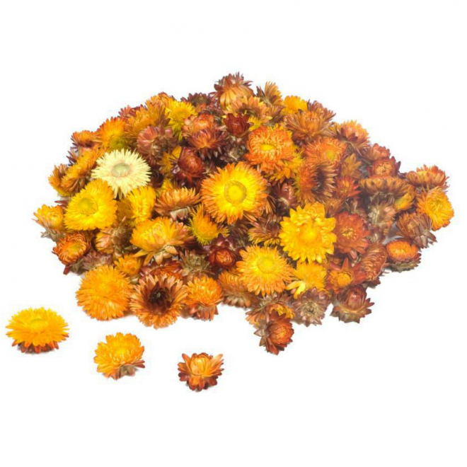 Têtes d'hélichrysum séché orange (50gr.)
