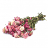 Hélichrysum séché rose tendre (env 100g)