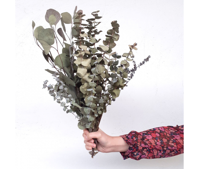 Eucalyptus mix séché - Mélange de feuillage pour vos DIY