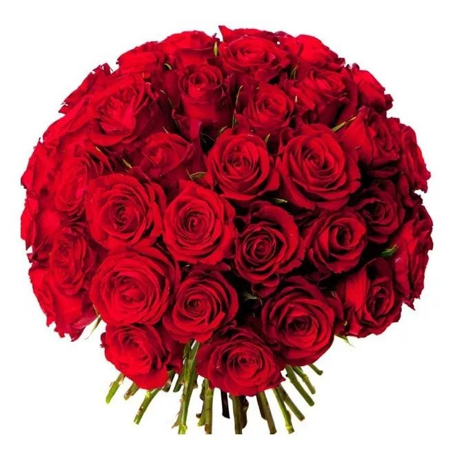 Bouquet de roses rouges le Magnifique, de 31 à 51 tiges.