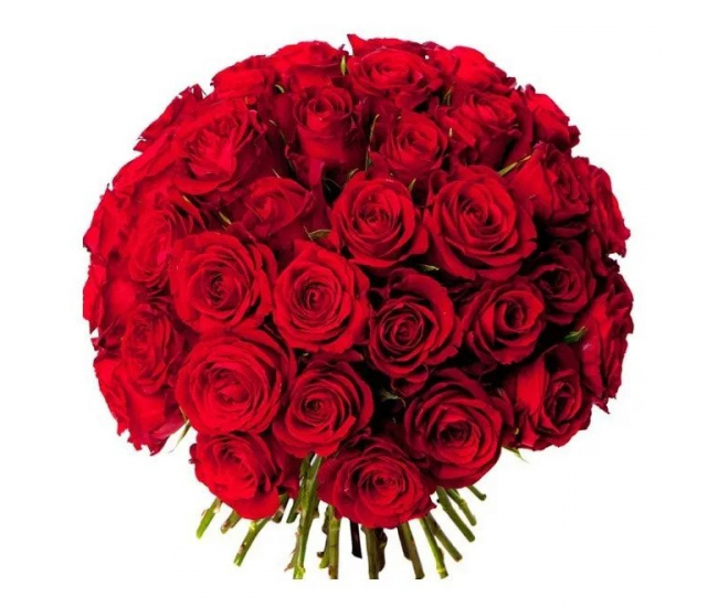 Bouquet de roses rouges le Magnifique, de 31 à 51 tiges.