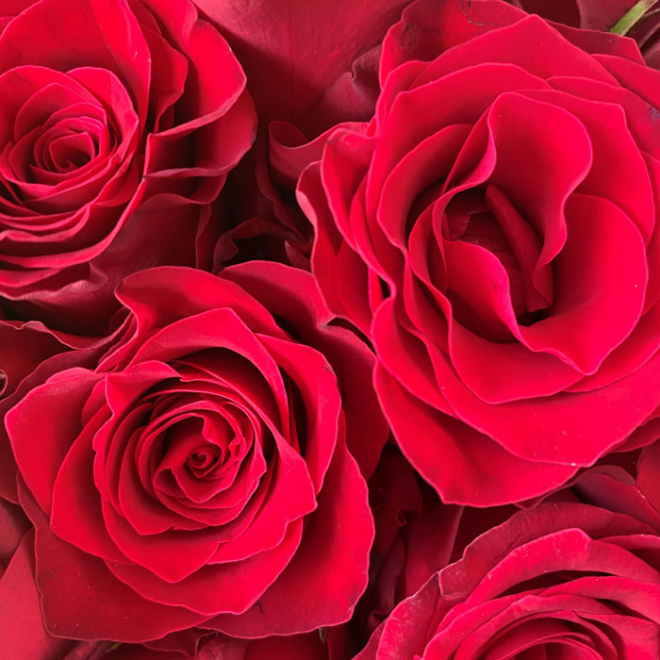 Le bouquet en papier parfait pour la Saint Valentin