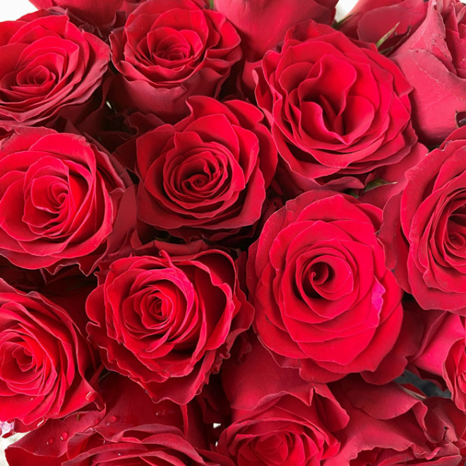 Bouquet Saint Valentin - 101 roses rouges