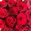 Bouquet Saint Valentin - 101 roses rouges - France Fleurs