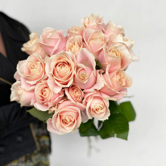 La rose Sweet Avalanche, de couleur rose pâle délicate et poudrée.