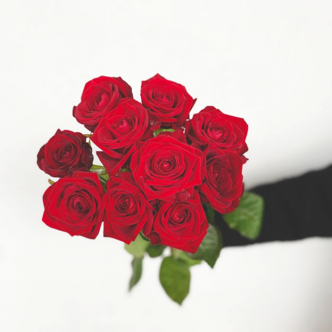 Roses rouges Red Naomi - Botte de 10 tiges à gros boutons