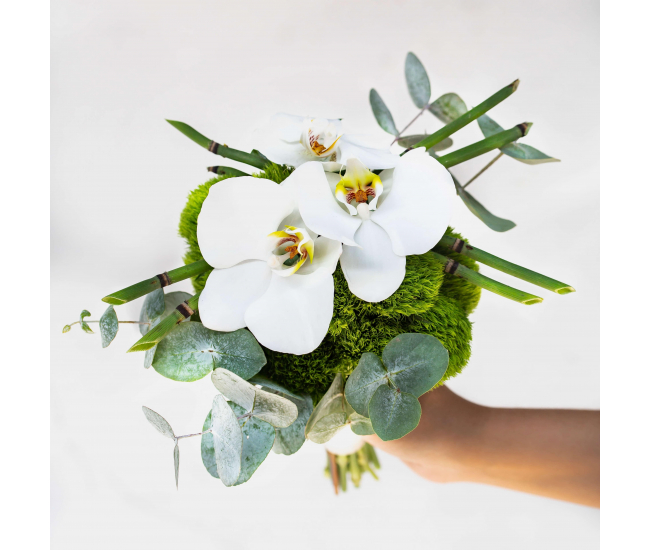 Fleur d'iris blanc WEDDING VOW - Achat en ligne