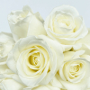 Bouquet de roses blanches sur mesure - Livraison fleurs - France Fleurs