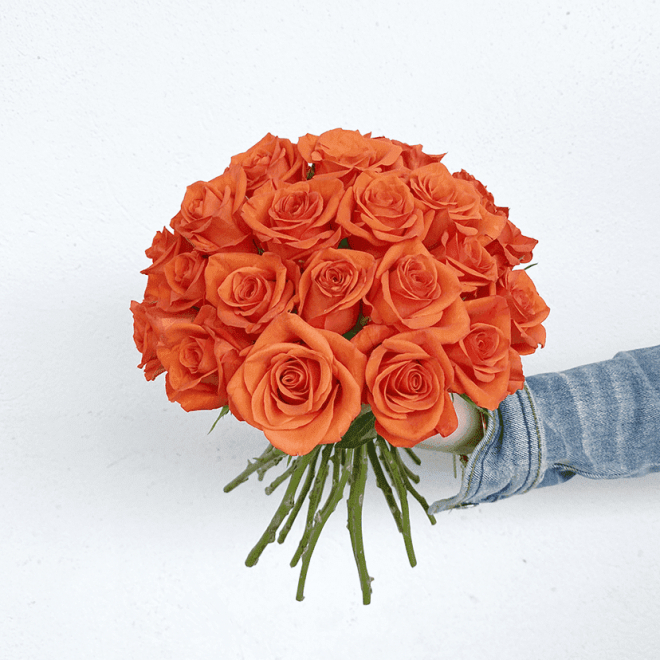 Bouquet de roses orange sur mesure de 20 à 100 tiges