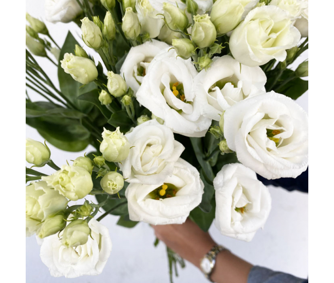 Lisianthus blanc - Fleur fraîche coupée à la botte - France Fleurs
