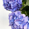 Hortensia bleu (5 tiges)