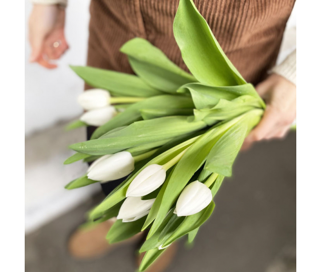 Tulipes blanches 10 tiges - Livraison de fleurs coupées 24h