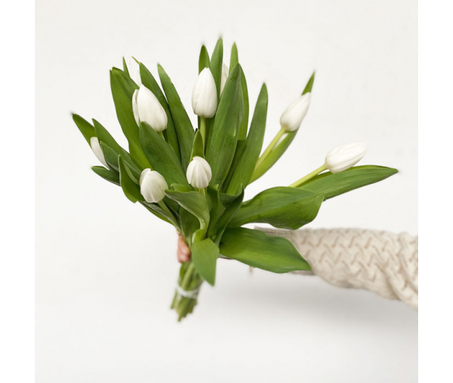 Tulipes blanches 10 tiges - Livraison de fleurs coupées 24h