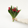 Tulipe rouge (10 tiges)