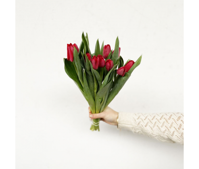 Botte de tulipes rouges vendue par 10 tiges - France Fleurs