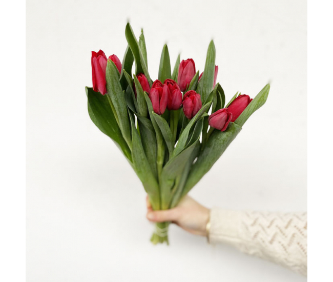 Botte de tulipes rouges vendue par 10 tiges - France Fleurs