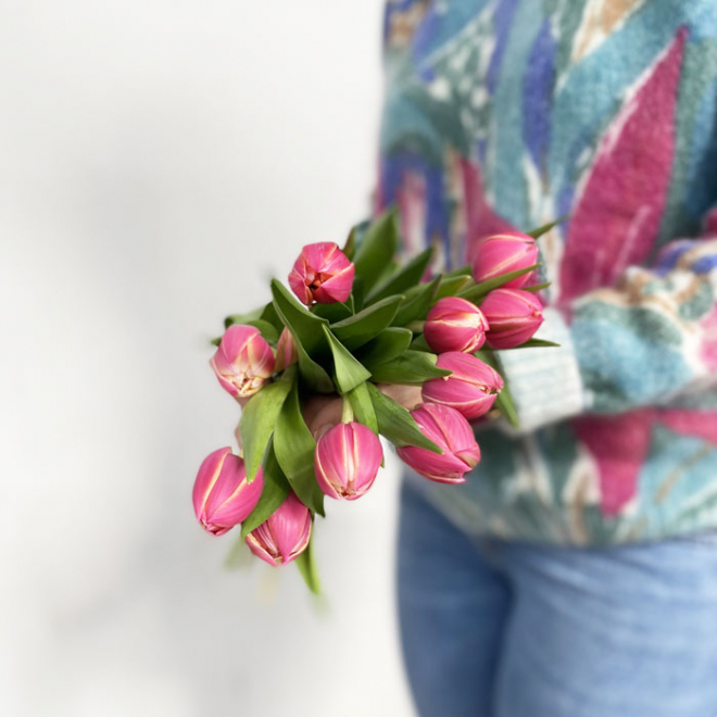 La tulipe rose, une fleur qui annonce le printemps.