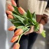 Tulipe orange (10 tiges)