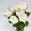 Rose branchue blanche -  fleurs mariage - France Fleurs
