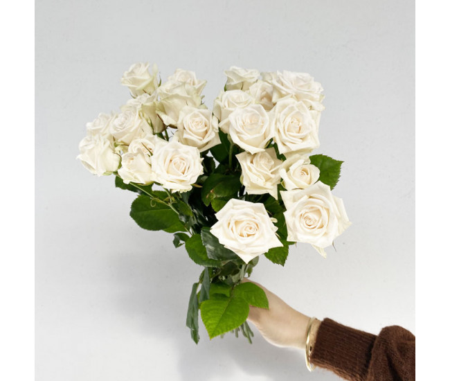 Rose branchue blanche - rose ramifiée