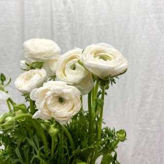 Compositions florales de mariage : toutes les fleurs de votre jour J  listées ici !