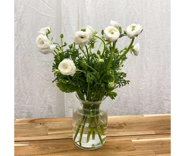 Renoncule blanche (10 tiges) - Fleur fraîche coupée