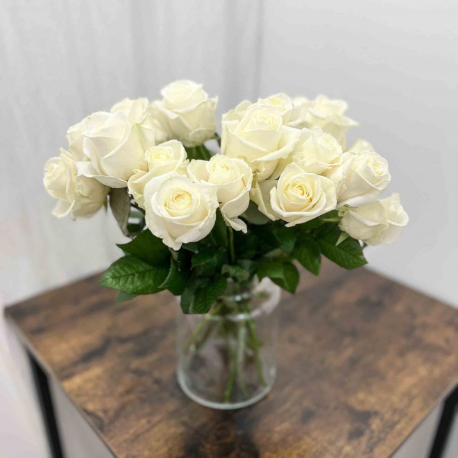 Rose Avalanche, une rose aux beaux boutons blanc crème.
