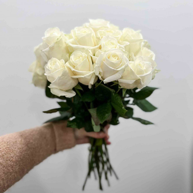 Rose Avalanche, une rose aux beaux boutons blanc crème.