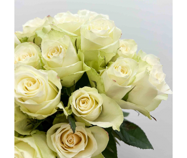 Rose blanche - Fleur fraîche coupée à prix de grossiste