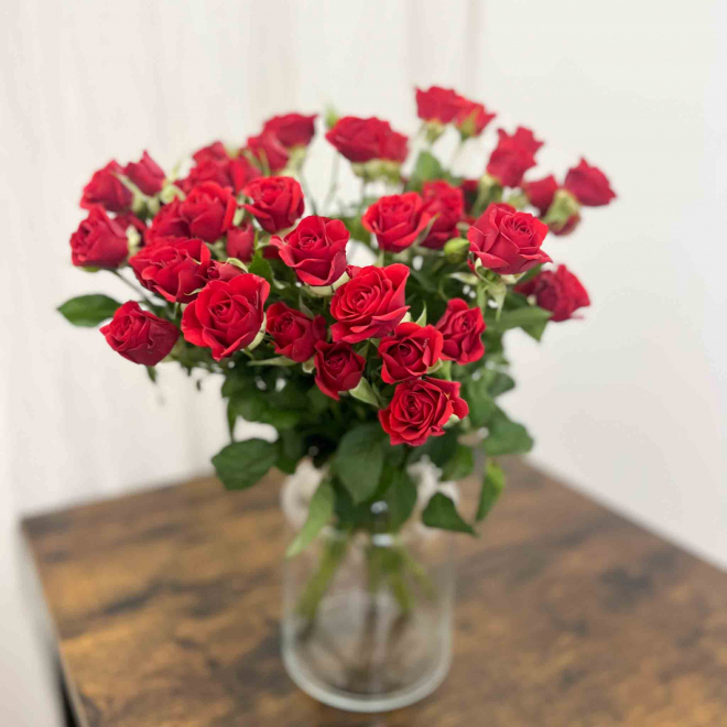 Rose branchue rouge - roses ramifiées pas chères