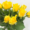Rose jaune (20 tiges)