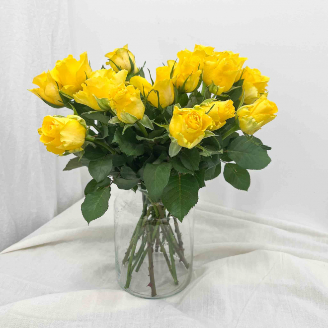 Rose jaune - Rose fraîche coupée pour bouquet - France Fleurs