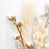Brassée de fleurs séchées blanches
