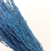 Stargrass séché bleu (env 80gr.)