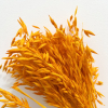 Avoine séchée orange (env 140gr.)
