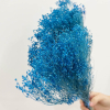 Broom Bloom séché bleu (env 100gr.)