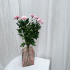 Chrysanthème rose unifleur (5 tiges)
