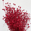 Fleur de lin séchée rouge (env 100gr.)