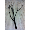 Mitsumata noir (lot de 3 branches)