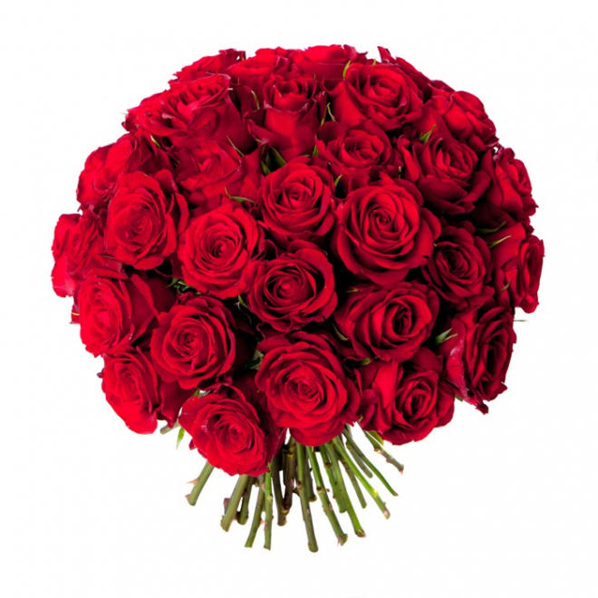 Bouquet 40 roses rouges -  Livraison roses rouges - France fleurs