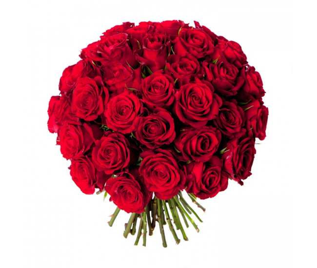 Bouquet de 40 belles roses rouges, Love is all.