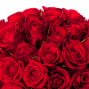 Bouquet 50 roses rouges - Livraison de roses - France Fleurs