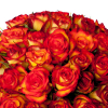 Bouquet 40 roses orangées - Livraison roses oranges - France Fleurs