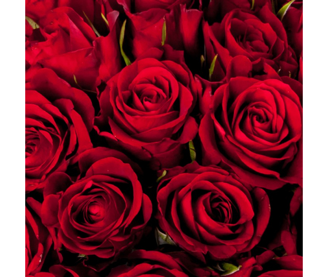 Bouquet De Roses Rouges Sur Mesure De 20 A 100 Unites