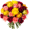 Bouquet 30 roses variées - Livraison roses multicolores - France Fleurs