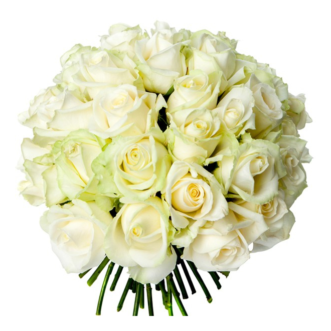 Bouquet 40 roses blanches - livraison de fleurs - France Fleurs