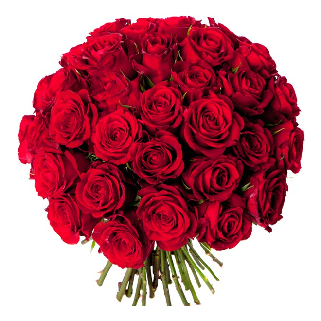 Bouquet de 40 belles roses rouges, Love is all.