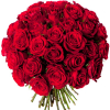 Bouquet 40 roses rouges - livraison roses rouges - France Fleurs
