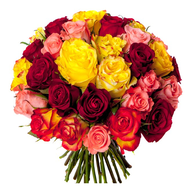 Bouquet 40 roses variées - livraison roses multicolores - France Fleurs
